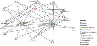 Sex-specific associations among infant food and atopic sensitizations and infant neurodevelopment